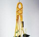 Macrame Plant Hanger - Hand Dyed - Silvesse